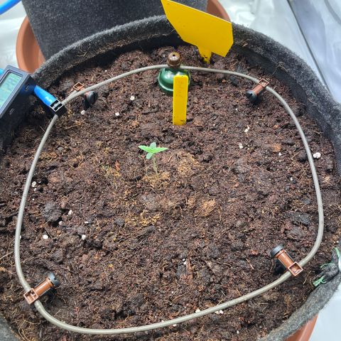 RQS F1 Orion #1 growlog timeline photo