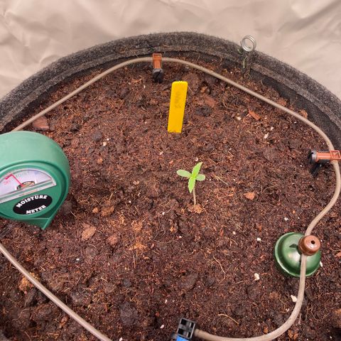 RQS F1 Orion #2 growlog timeline photo