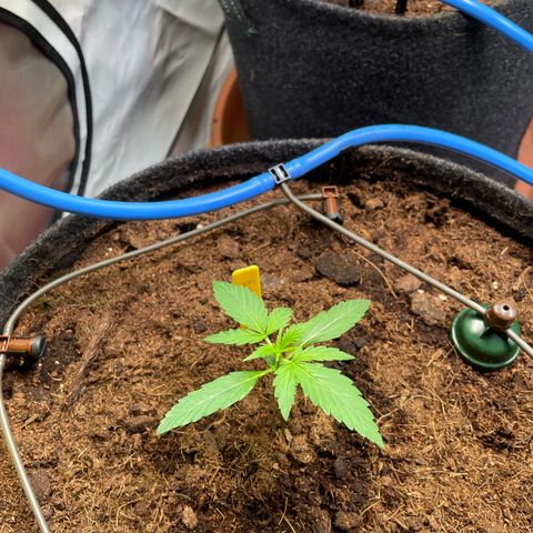RQS F1 Epsilon #1 growlog timeline photo