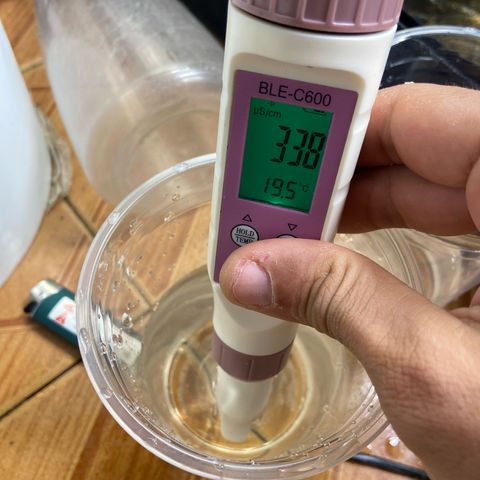 Super Lemon Haze growlog timeline photo