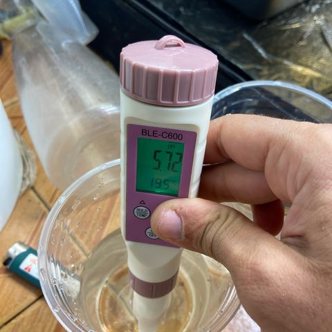 Super Lemon Haze growlog timeline photo