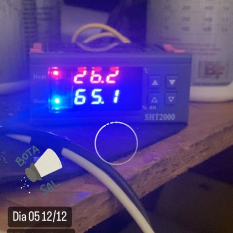 Pineapple Larry OG  growlog timeline photo
