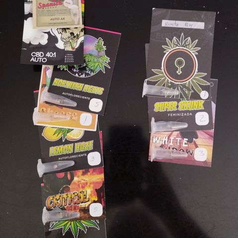 Elixir CBD auto growlog timeline photo