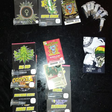 Lemon Haze auto  growlog timeline photo