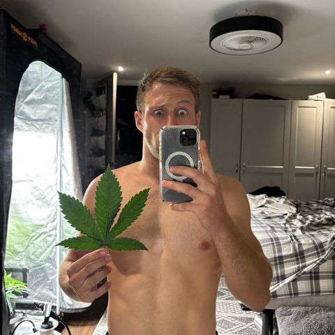 Scoops of Cream growlog timeline photo