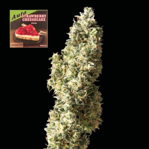 Strawberry Cheesecake growlog timeline photo