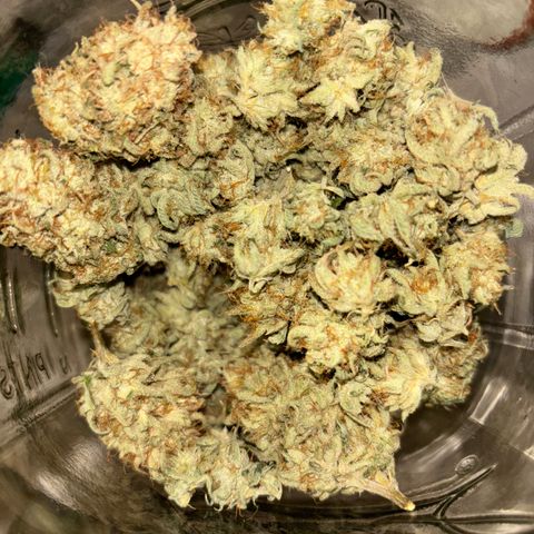 Scoops of Cream growlog timeline photo