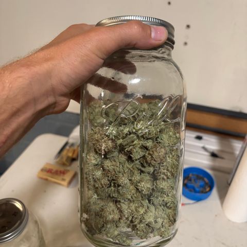 Scoops of Cream growlog timeline photo