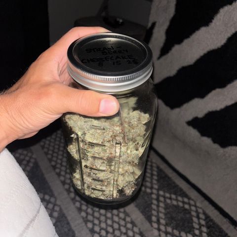 Strawberry Cheesecake growlog timeline photo
