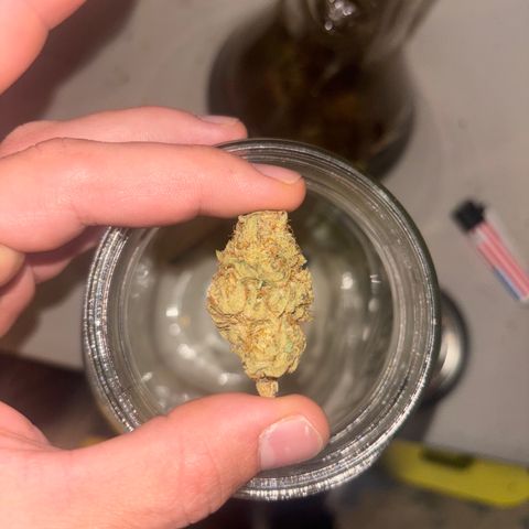 Scoops of Cream growlog photo: The last nug