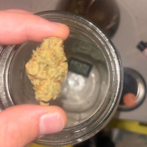 Scoops of Cream growlog photo: The last nug