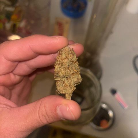 Scoops of Cream growlog photo: The last nug