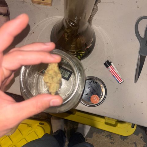 Scoops of Cream growlog photo: The last nug