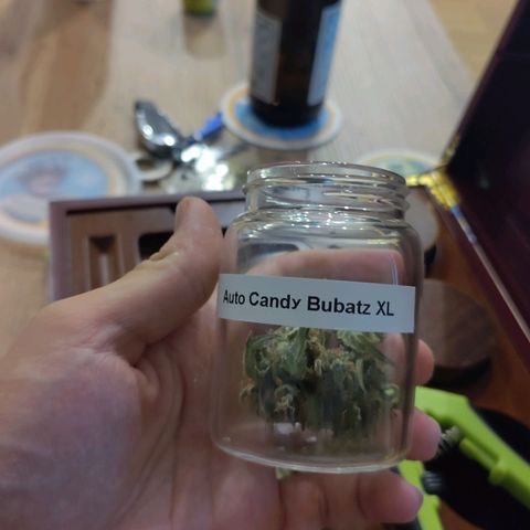 Auto Candy Bubatz XL  growlog timeline photo