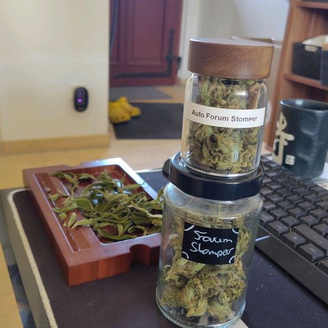 Forum Stomper growlog timeline photo