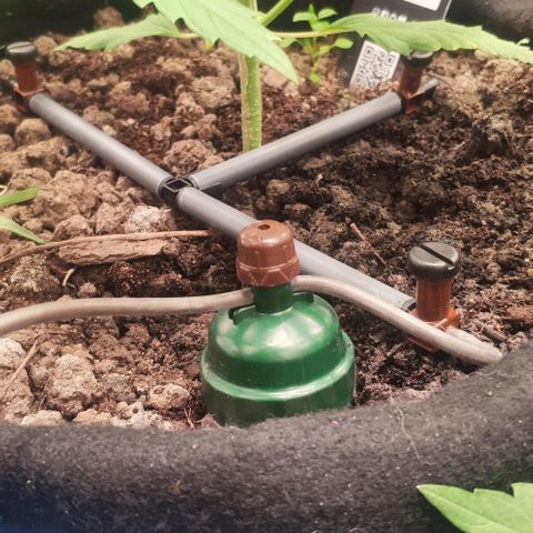 Random Bud 2 growlog timeline photo