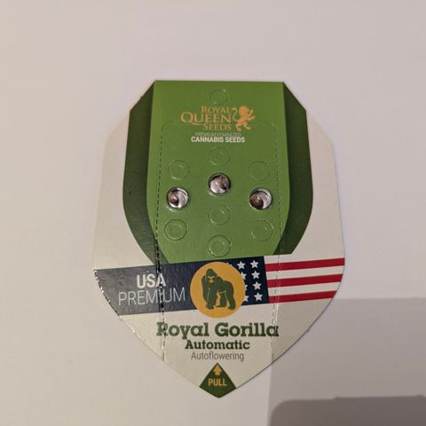 Royal Gorilla Automatic #3 growlog timeline photo
