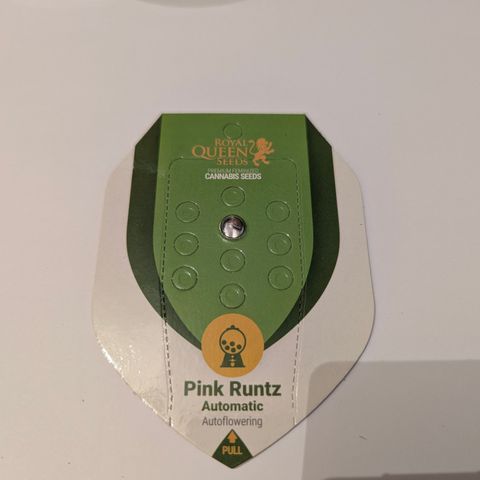 Pink Runtz Automatic #7 growlog timeline photo