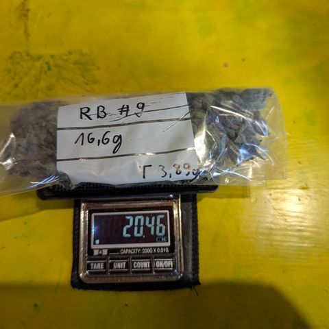 Royal Bluematic #9 growlog timeline photo