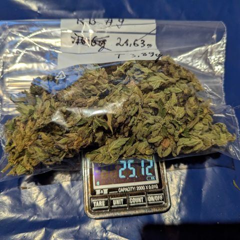 Royal Bluematic #9 growlog timeline photo