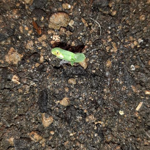 ❦𝓜𝓲𝓼𝓼⋆​ꪑ𝓲ꪶ𝘬​ꪗ⭐🌿⭐​᭙ꪖ​ꪗ『𝐍°𝟏』 growlog photo: 🤔🙄😷🤕🙏💪💪💪
