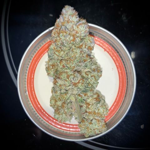 Artificial Red growlog timeline photo