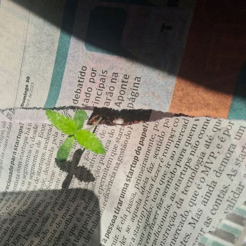 Amnésia  growlog timeline photo