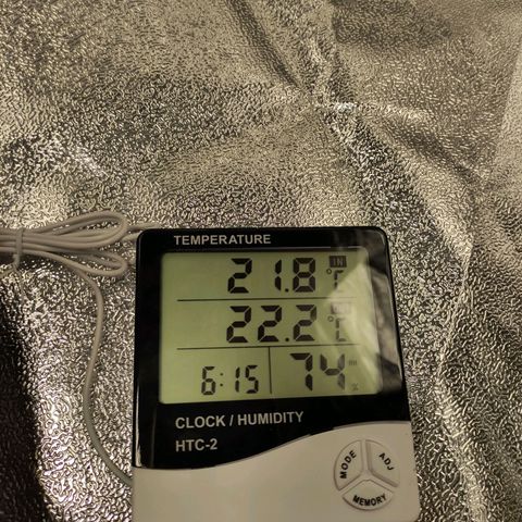 Gertrude growlog timeline photo