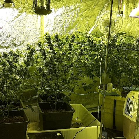 Vision kosher growlog timeline photo