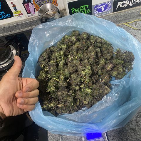 Ice cream cake growlog timeline photo