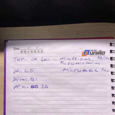 Gorilla Glue Auto #2 growlog timeline photo