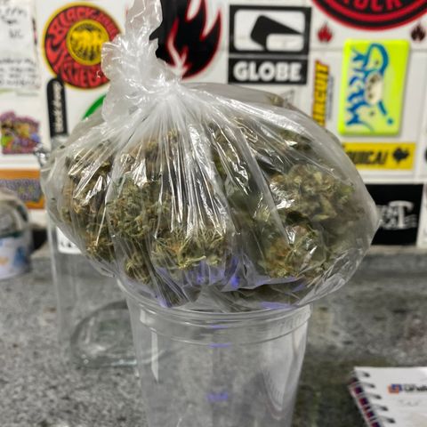 Gorilla Glue Auto #2 growlog photo: 42,2g