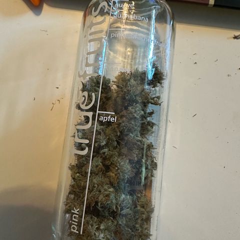 Stressica growlog photo: Die ersten 4g sind geschnitten. Nach der Pause gehts weiter. 