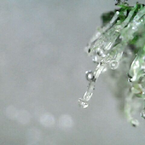 Amnesia 3 growlog timeline photo