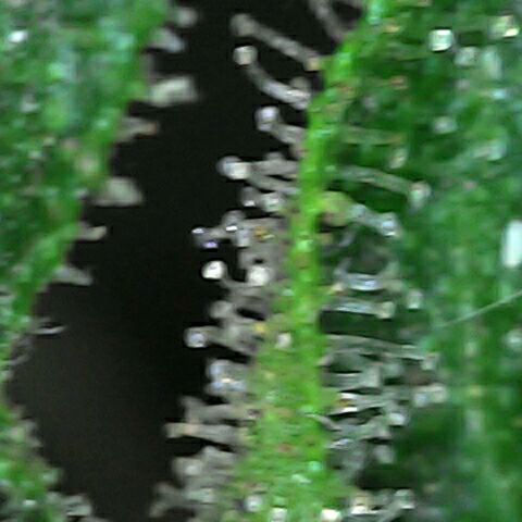 Amnesia 3 growlog timeline photo