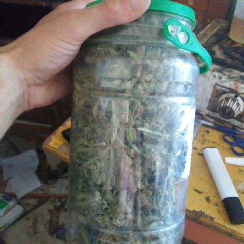 Gorilla 1 growlog photo: Seco