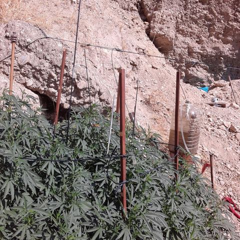 CHMOG growlog timeline photo