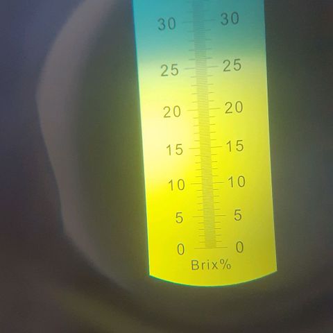 CHMOG growlog timeline photo