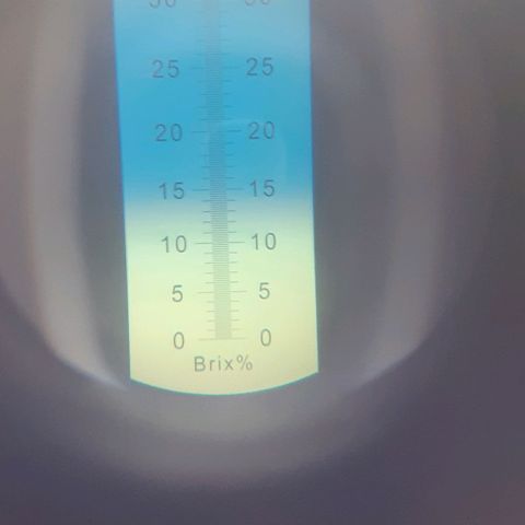 Experiment growlog timeline photo