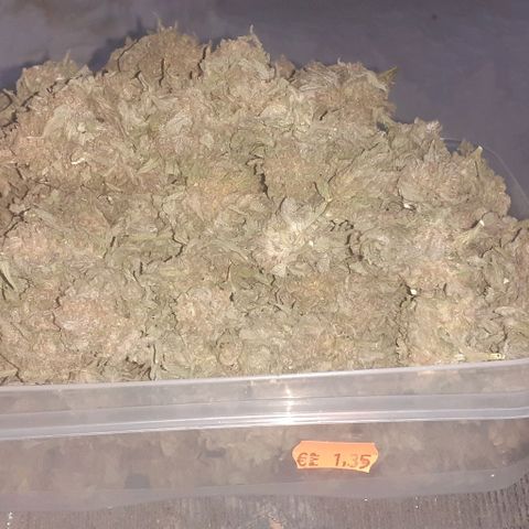 Coco menta  growlog timeline photo