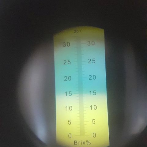 Experiment growlog timeline photo