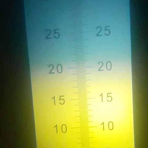 CHMOG growlog timeline photo