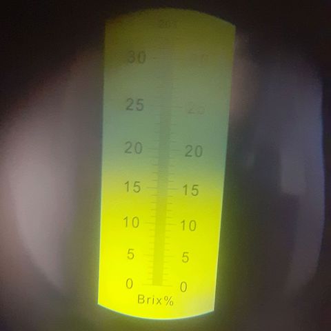 Experiment growlog timeline photo