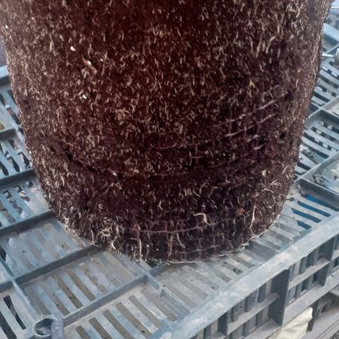 Experiment growlog timeline photo
