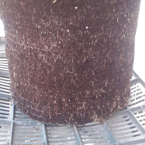 Experiment growlog timeline photo