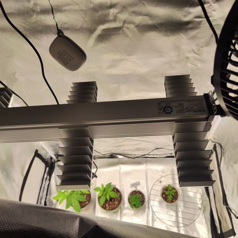 Royal AK growlog timeline photo