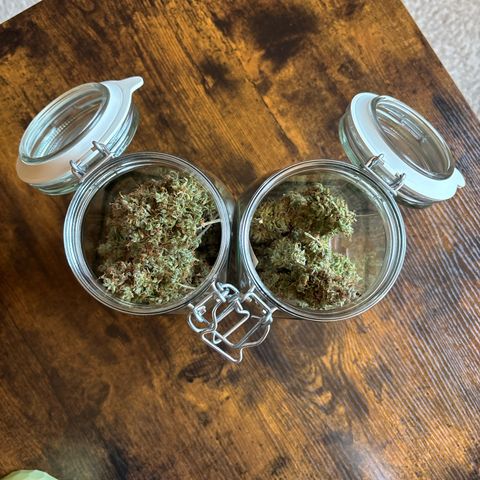 Bubble Kush growlog timeline photo