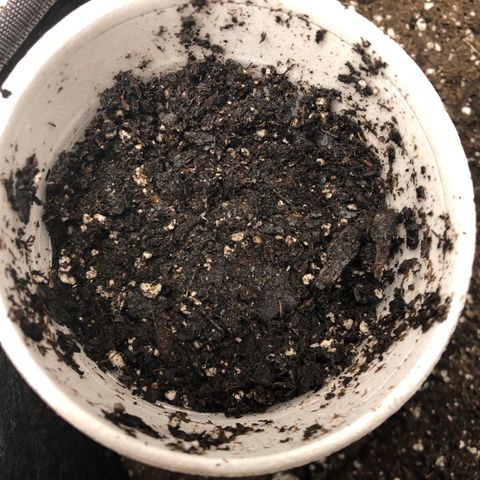 1-PTR-8 #9 growlog timeline photo