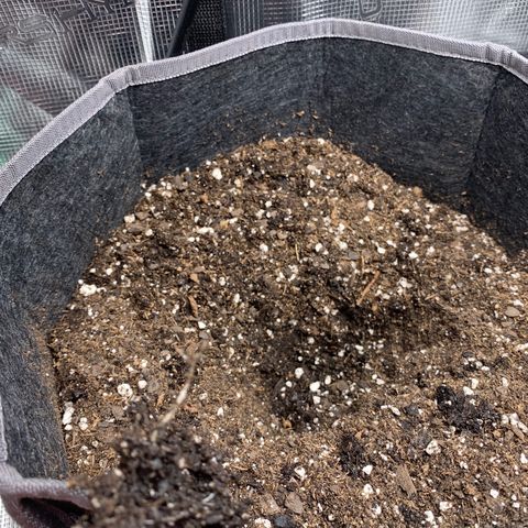 1-PTR-8 #9 growlog timeline photo