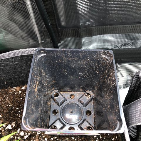 1-SSH-1 #12 growlog timeline photo